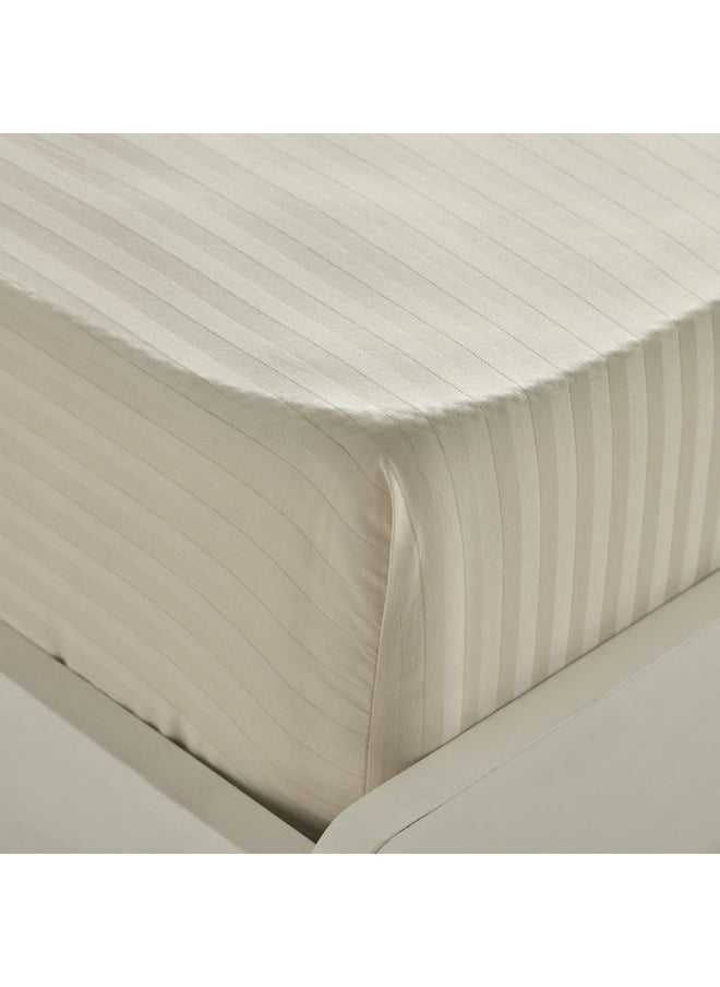 Hamilton Satin Stripe Olympic Queen Fitted Sheet 200 x 36 x 160 cm