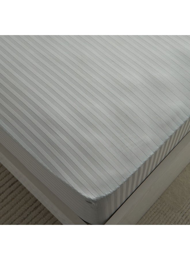 Hamilton Satin Stripe Olympic Queen Fitted Sheet 160 x 200 x 36 cm