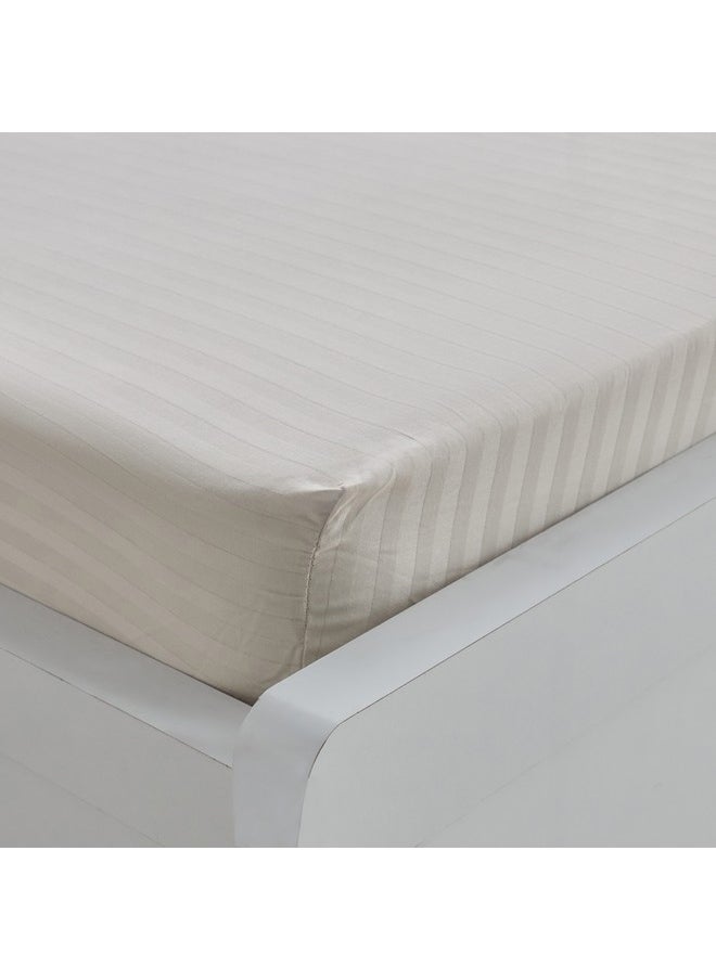 Hamilton Stripe Satin Cotton Single Fitted Sheet 200 x 36 x 90 cm