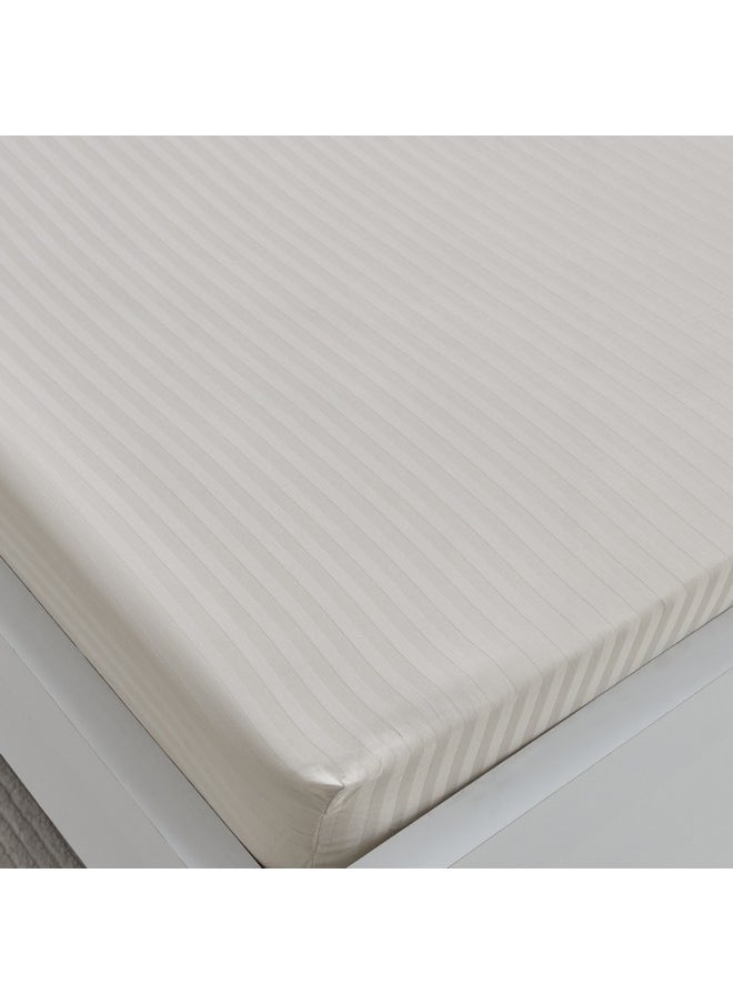 Hamilton Stripe Satin Cotton Single Fitted Sheet 200 x 36 x 90 cm