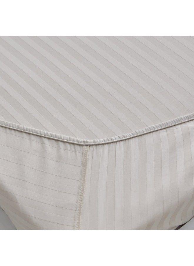 Hamilton Stripe Satin Cotton Single Fitted Sheet 200 x 36 x 90 cm