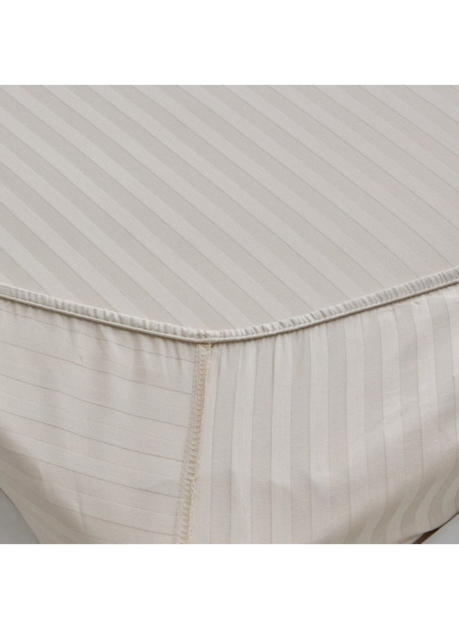 Hamilton Stripe Satin Cotton Single Fitted Sheet 200 x 36 x 90 cm