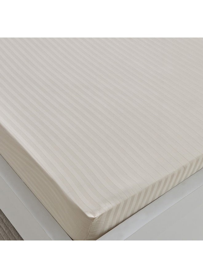 Hamilton Stripe Satin Cotton Single Fitted Sheet 200 x 36 x 90 cm