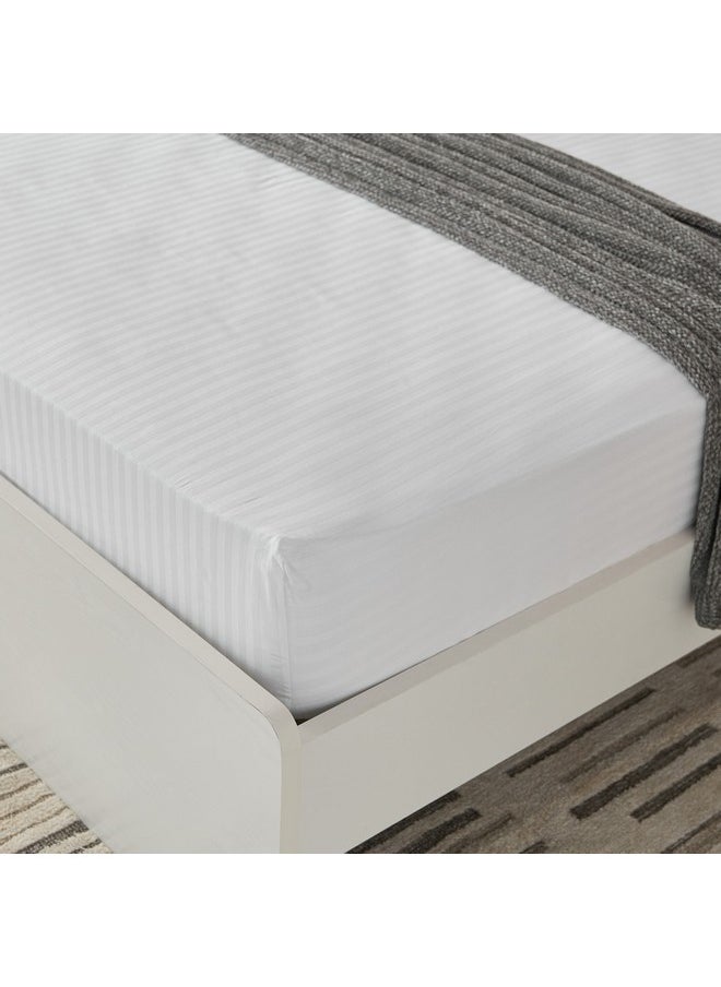 Hamilton Satin Striped Queen Fitted Sheet 150 x 200 x 36 cm