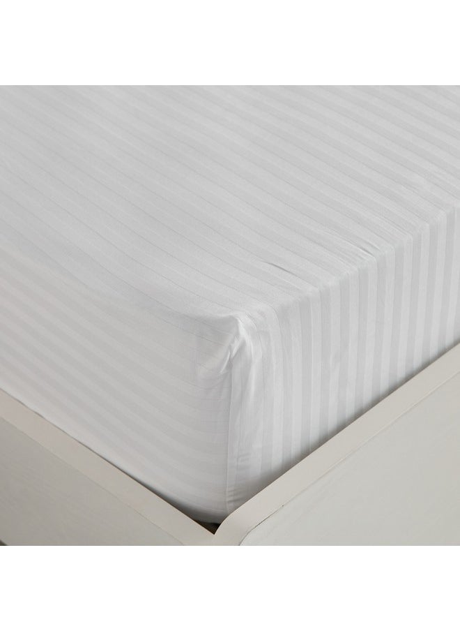 Hamilton Satin Striped Queen Fitted Sheet 150 x 200 x 36 cm