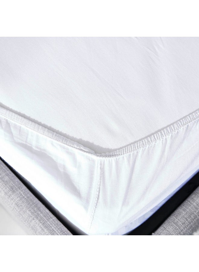 Ballina Solid Cotton Super King Fitted Sheet 200 x 33 x 200 cm