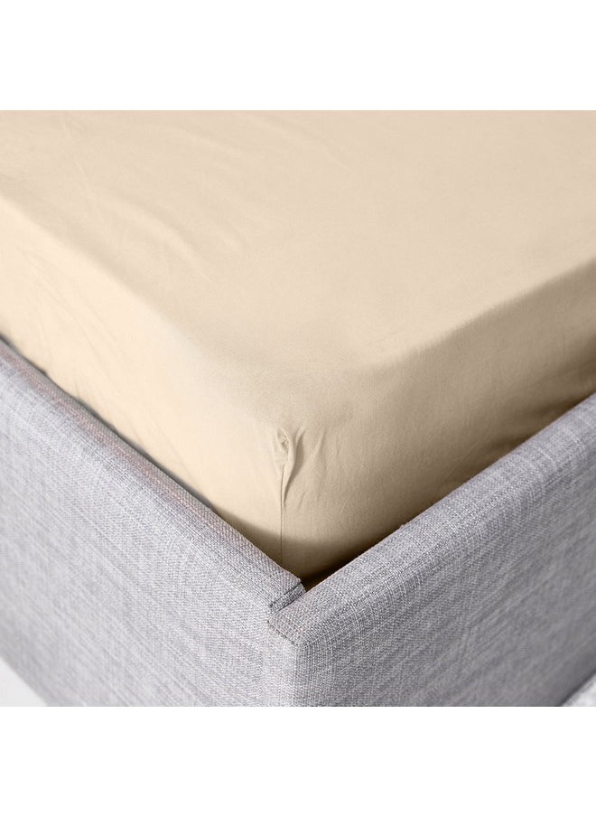 Ballina Solid Cotton King Fitted Sheet 200 x 33 x 180 cm