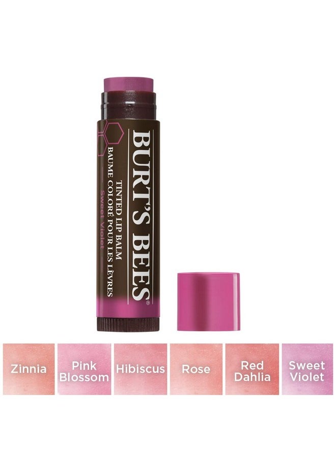 Burt's Bees 100% Natural Tinted Lip Balm, Sweet Violet with Shea Butter & Botanical Waxes - 1 Tube