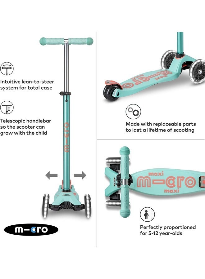 Maxi Micro Deluxe Mint Led