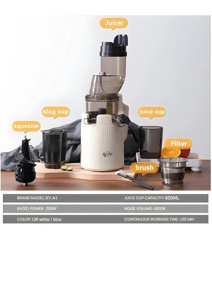 200 W ,600ML Juicer Blender Machine