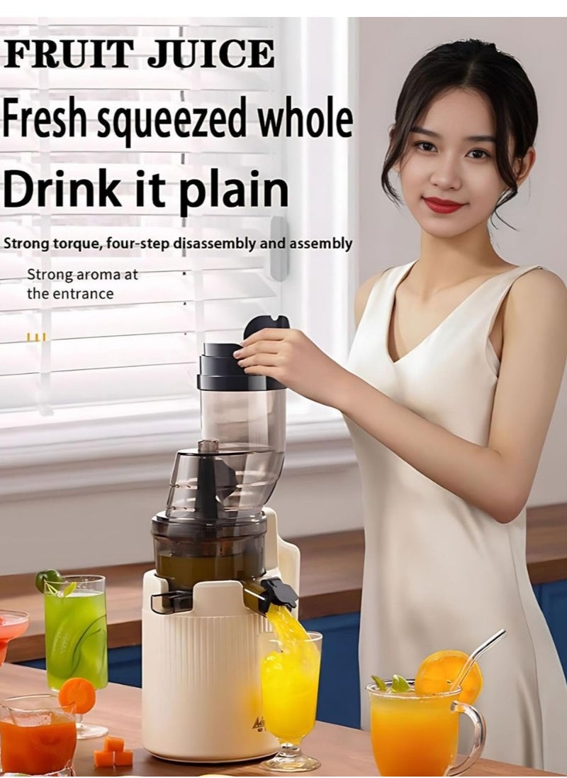 200 W ,600ML Juicer Blender Machine