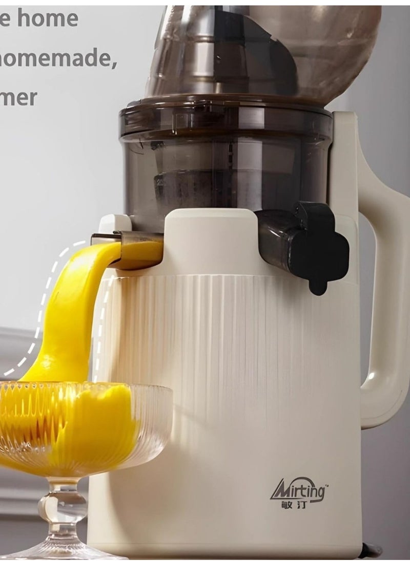 200 W ,600ML Juicer Blender Machine