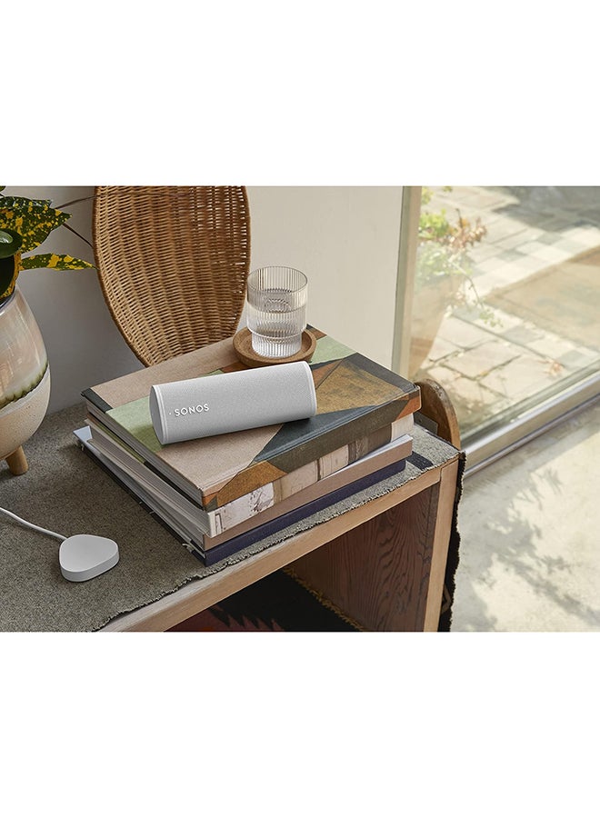 Roam Charger White