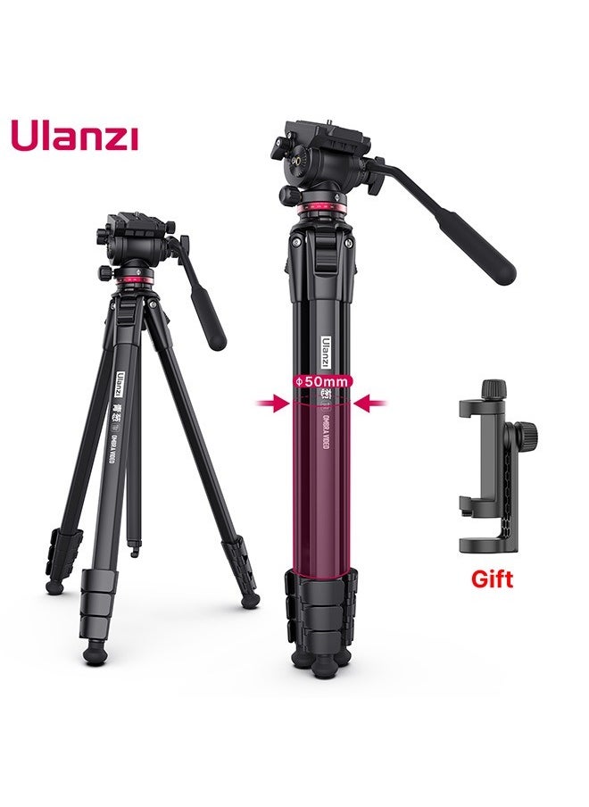 1.6M Video Travel Tripod with 360° Panorama Fluid Drag and Arca Swiss Plate for DSLR Cameras - Max Load 6KG