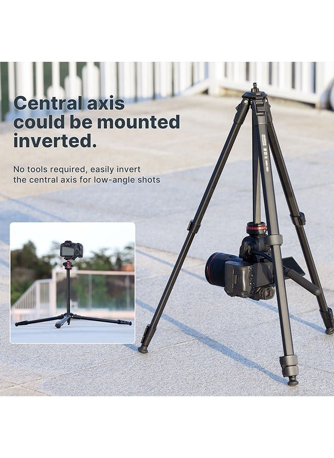 1.6M Video Travel Tripod with 360° Panorama Fluid Drag and Arca Swiss Plate for DSLR Cameras - Max Load 6KG