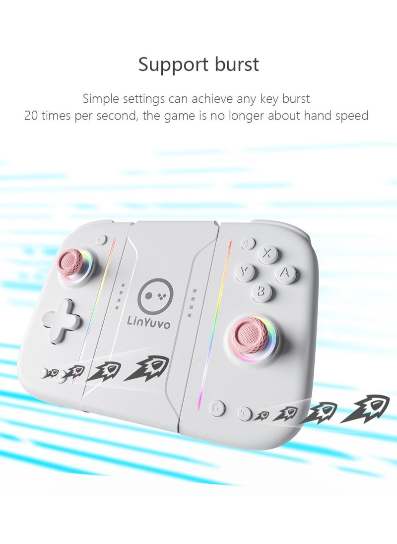 Classic Gamepad LinYuvo Joycon Bluetooth Game Controller Compatible with Switch, Switch Lite, Switch OLED Color RGB Light 1000mAh Battery Six-Axis Gyroscope Turbo Function Adjustment Dual Vibration White Blue