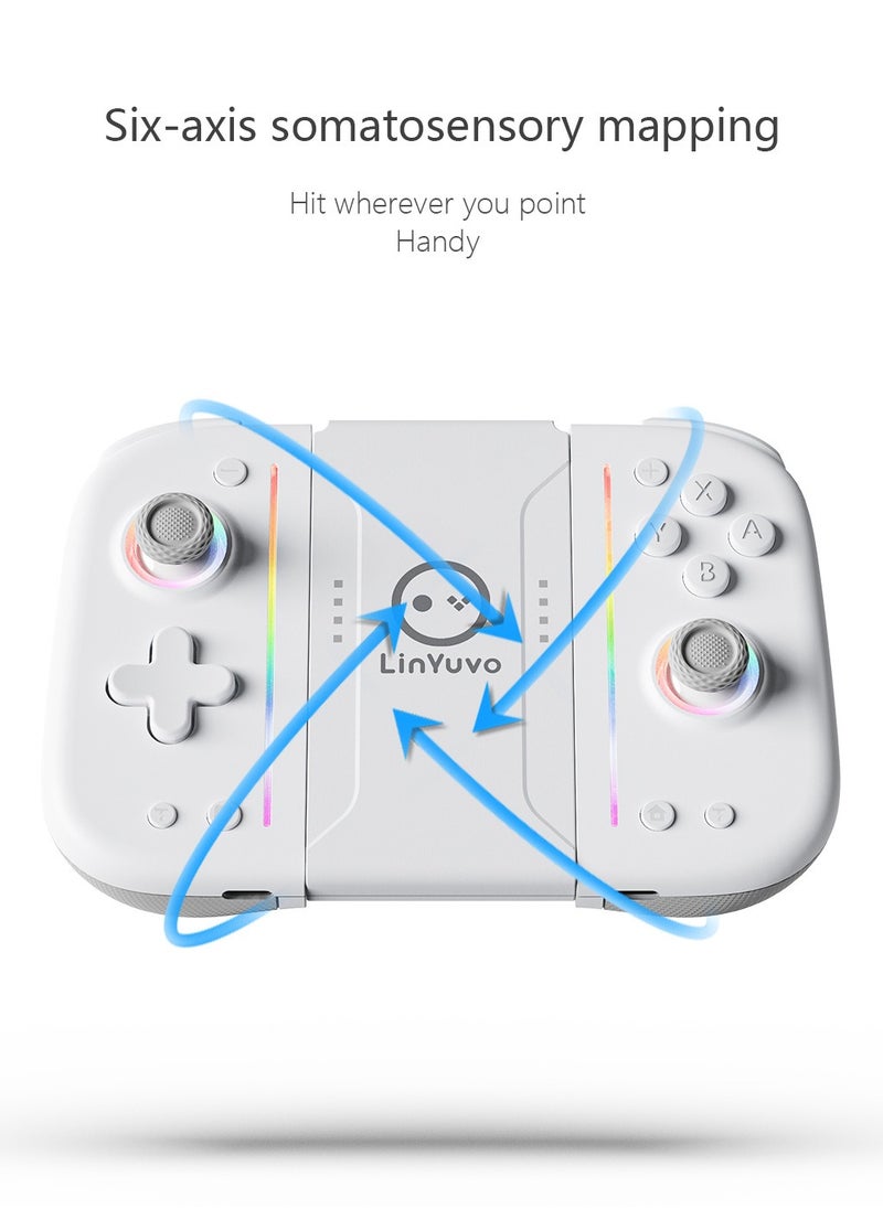 Classic Gamepad LinYuvo Joycon Bluetooth Game Controller Compatible with Switch, Switch Lite, Switch OLED Color RGB Light 1000mAh Battery Six-Axis Gyroscope Turbo Function Adjustment Dual Vibration White Blue