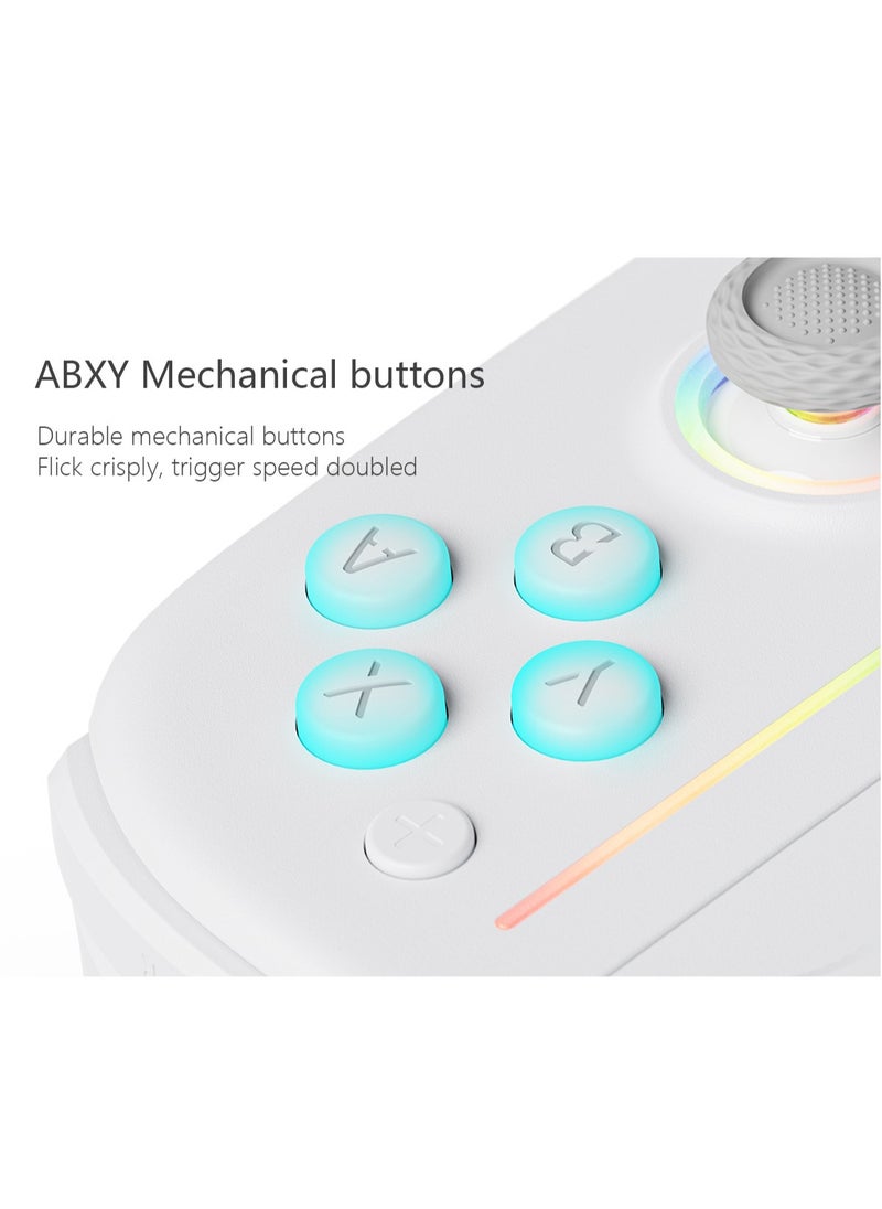 Classic Gamepad LinYuvo Joycon Bluetooth Game Controller Compatible with Switch, Switch Lite, Switch OLED Color RGB Light 1000mAh Battery Six-Axis Gyroscope Turbo Function Adjustment Dual Vibration White Grey