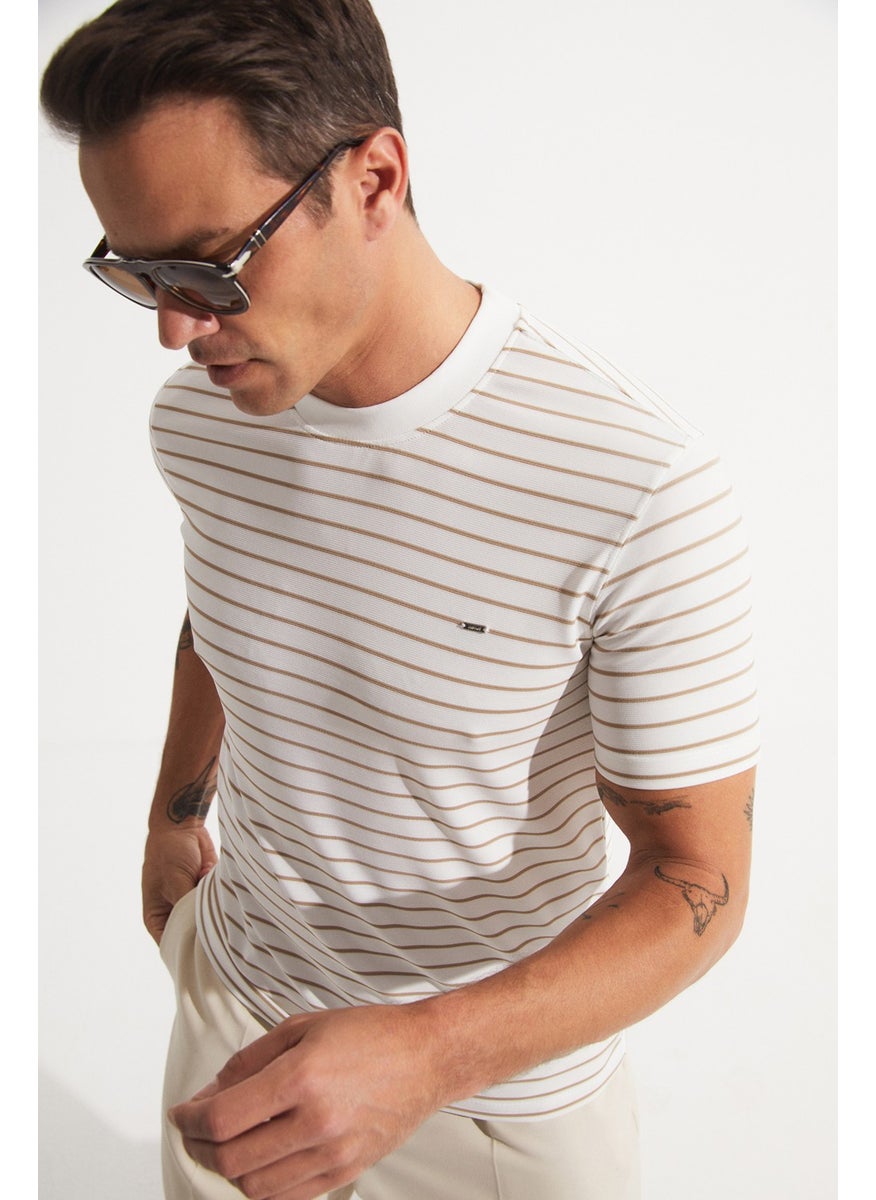 Men's Regular Fit Crew Neck Striped T-Shirt