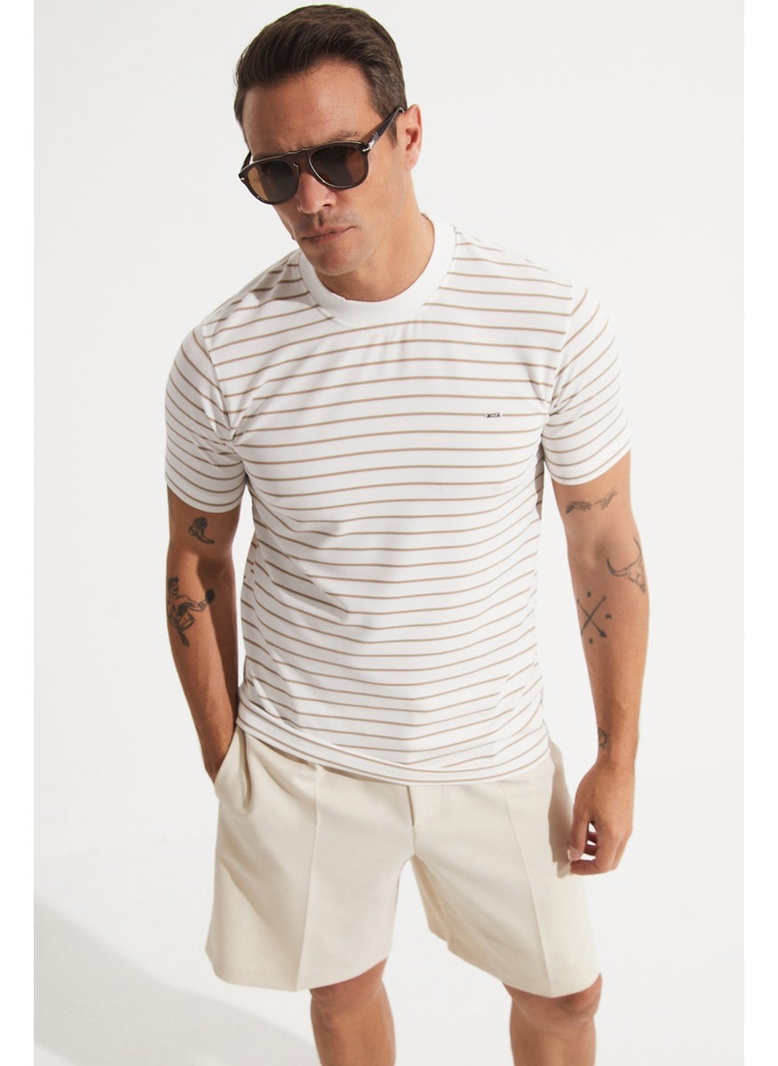 Men's Regular Fit Crew Neck Striped T-Shirt