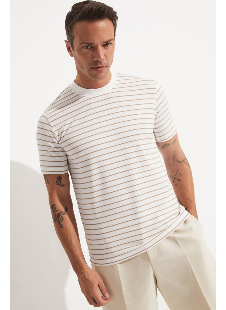 Men's Regular Fit Crew Neck Striped T-Shirt