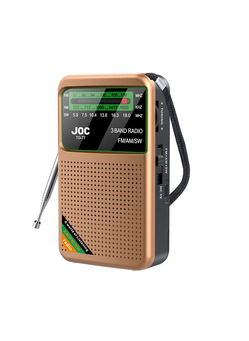 Full Band Multi-Function Radio with Auto-Tuning Gold