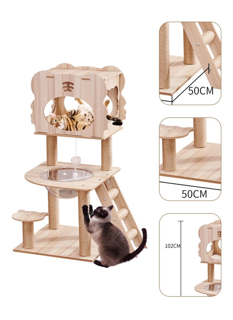 Creative Cat Climbing Frame With Cat Bed Hammock Cat Scratching Post Cat Toys Pet Supplies 50*50*102cm