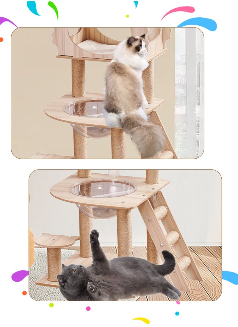 Creative Cat Climbing Frame With Cat Bed Hammock Cat Scratching Post Cat Toys Pet Supplies 50*50*102cm