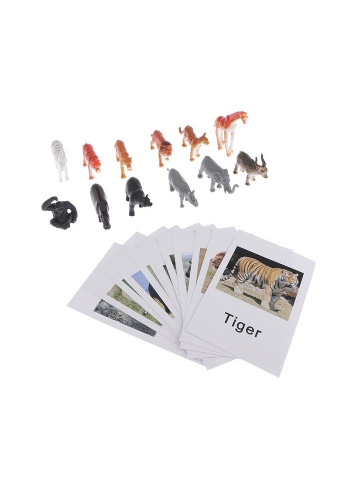 Wild Animal Group Model Card Homeschool Animal Group Science Naming Card (abroad Colour:Colourful