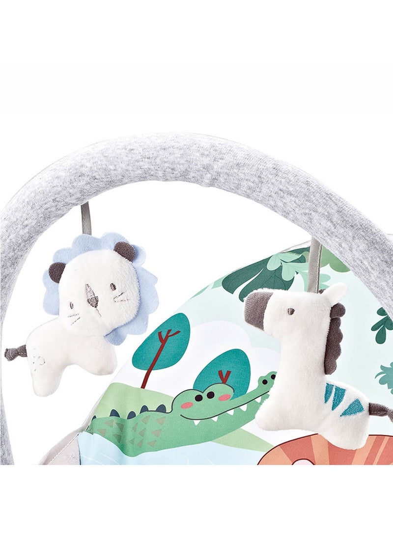 Factory Price Printed Baby Rocker With Soothing Music,  Calm Vibrations and Removable Toys - B