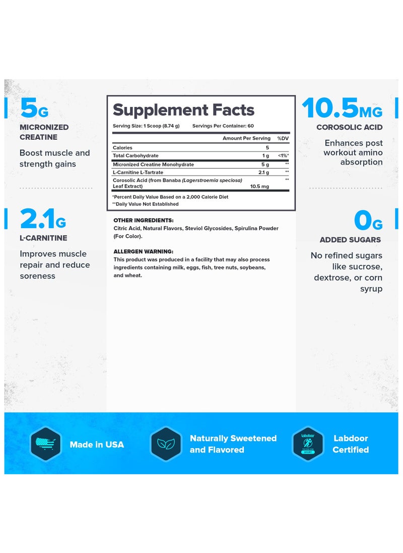 Recharge Post Workout Drink, Boosts Muscle Growth and Recovery, 5g Micronized Creatine Monohydrate, 2.1g L-Carnitine and L-Tartrate, 570 grams, 60 Servings - Blue Raspberry Flavor, Dietary supplement