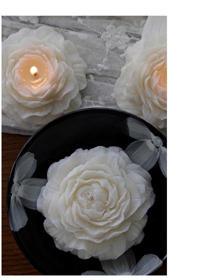 Indoor Advanced Aromatherapy Candle Display as a Gift for Female Companions