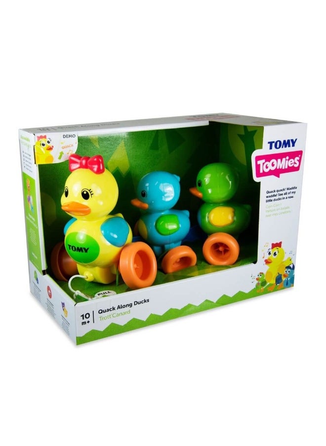 Quack Along Ducks Toy