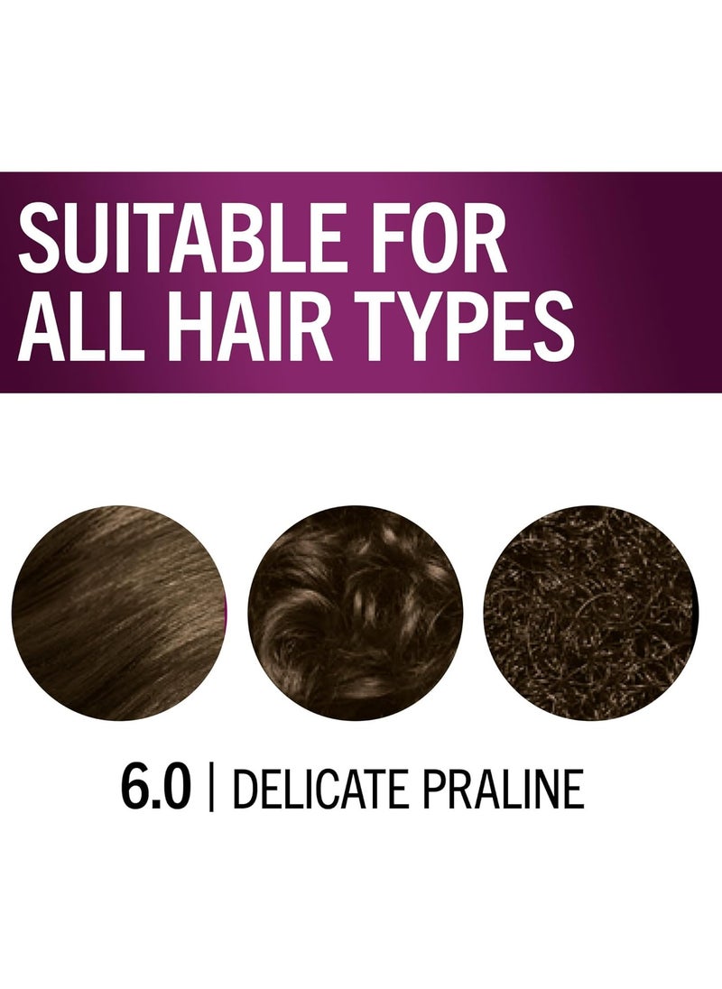 Schwarzkopf Keratin Color Permanent Hair Color, 6.0 Delicate Praline,1 Application-Professionally Inspired Permanent Hair Dye,for up to 80% Less Breakage vs Untreated Hair and up to 100% Gray Coverage