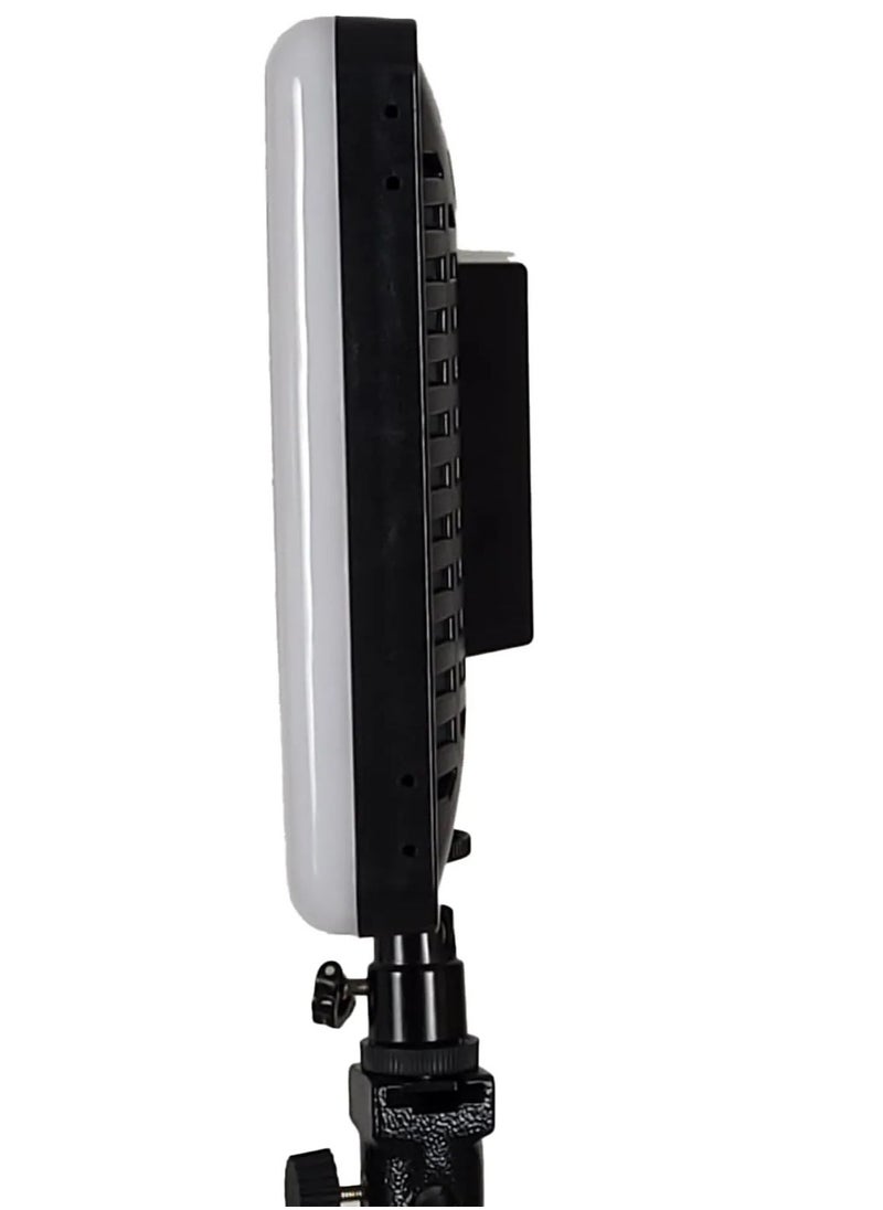 LED Professional Photography PL-26 Fill Light 26cm for photography and videography and Social Media Live Streaming