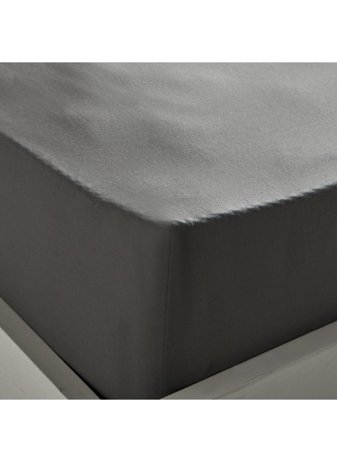 Essential Cotton Queen Fitted Sheet 200 x 36 x 150 cm