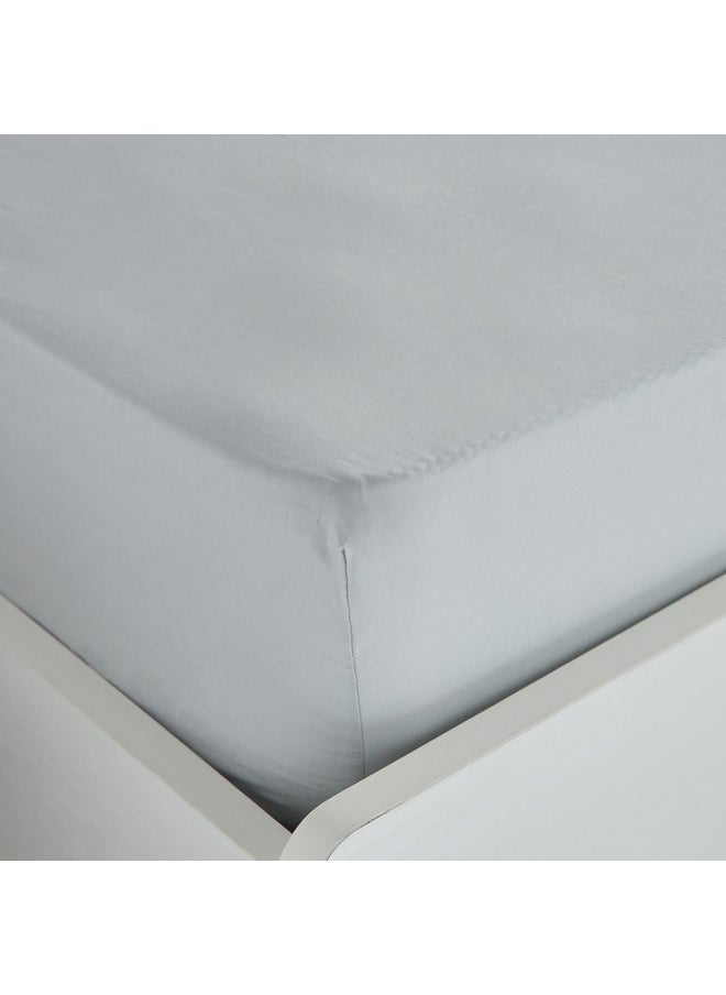 Essential Cotton Queen Fitted Sheet 150 x 200 x 36 cm