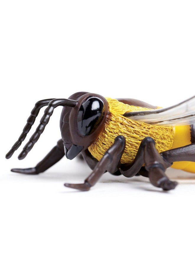 Safari Ltd. Honey Bee Figurine - Lifelike 5.5