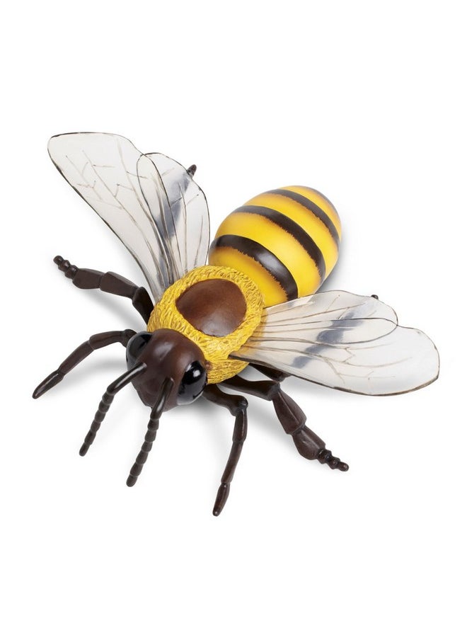 Safari Ltd. Honey Bee Figurine - Lifelike 5.5