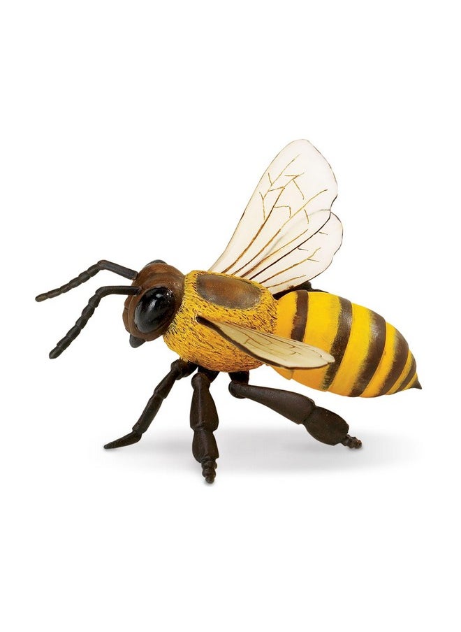 Safari Ltd. Honey Bee Figurine - Lifelike 5.5