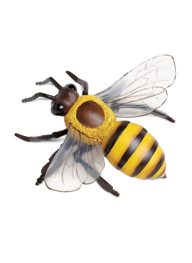 Safari Ltd. Honey Bee Figurine - Lifelike 5.5