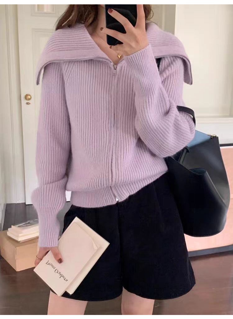 French Retro Style Design Zipper Large Lapel Sweater Jacket for Women Autumn and Winter New Loose Short Top Trendy Purple