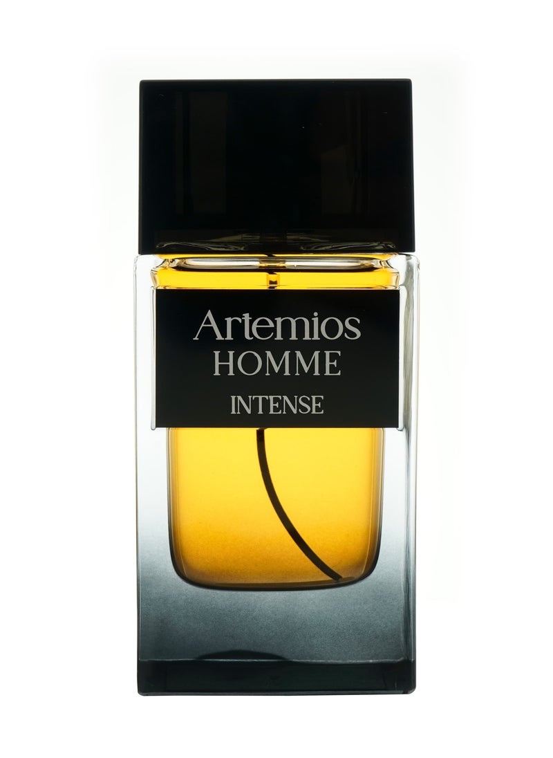 ARTEMIOS HOMME INTENSE 100ML EDP