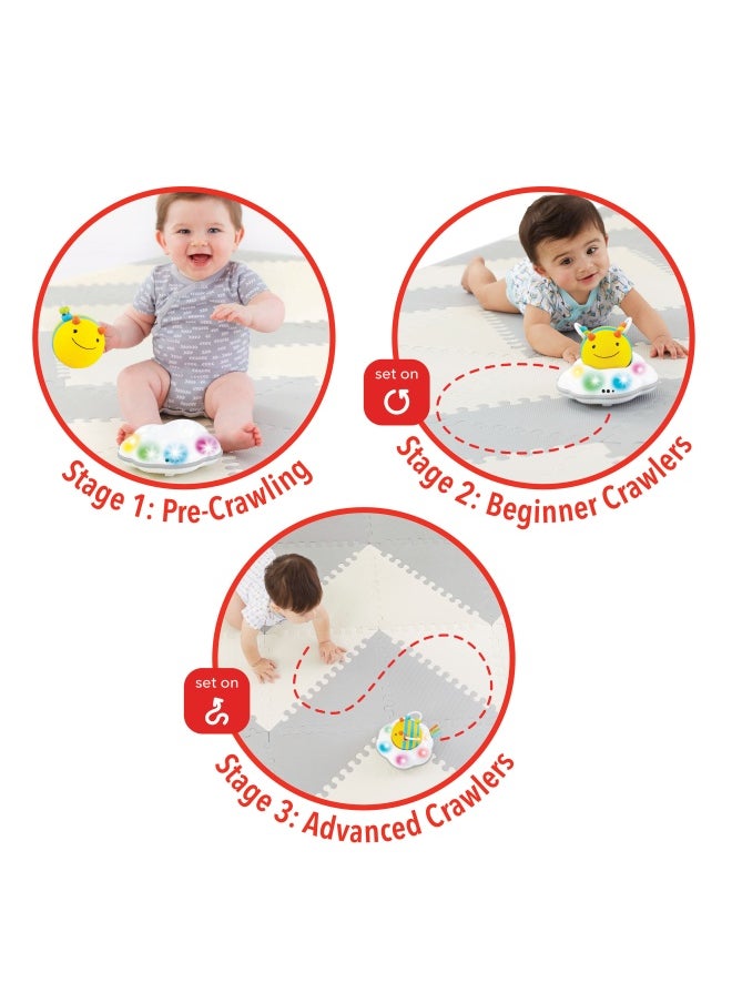 Explore & More Follow Bee Crawl Toy