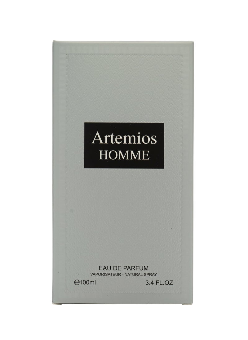 ARTEMIOS HOMME 100ML EDP