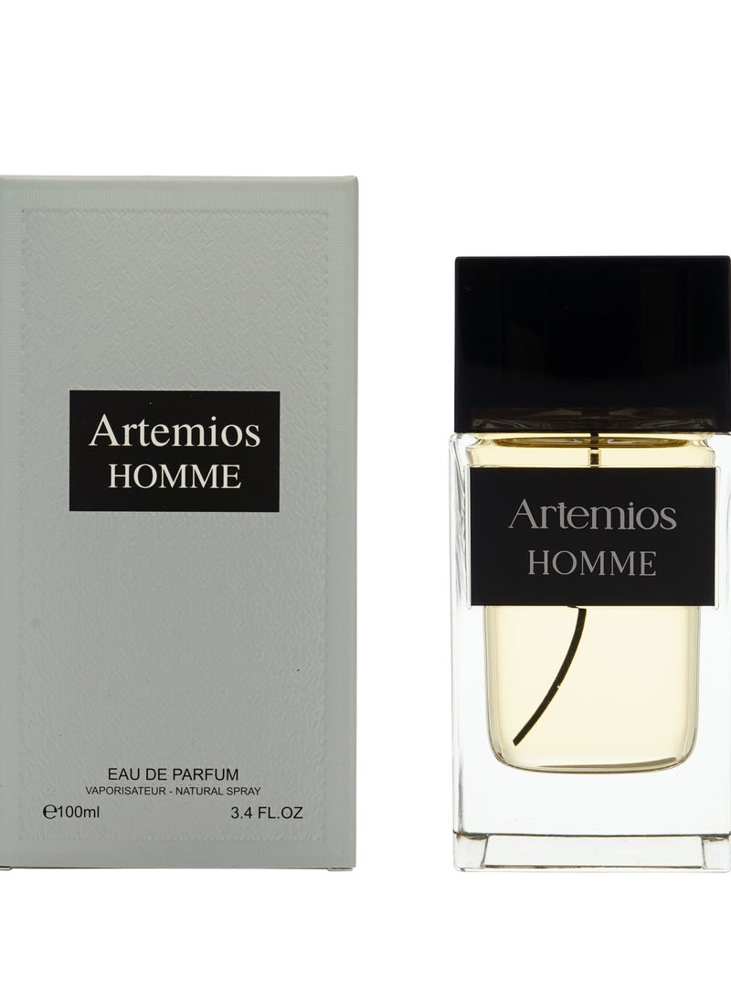 ARTEMIOS HOMME 100ML EDP