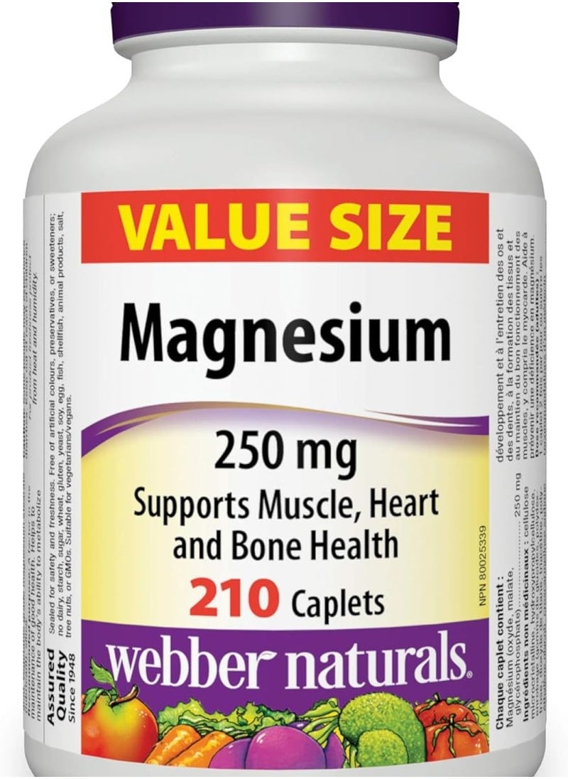 Webber Naturals Magnesium 250 mg 210 Caplets