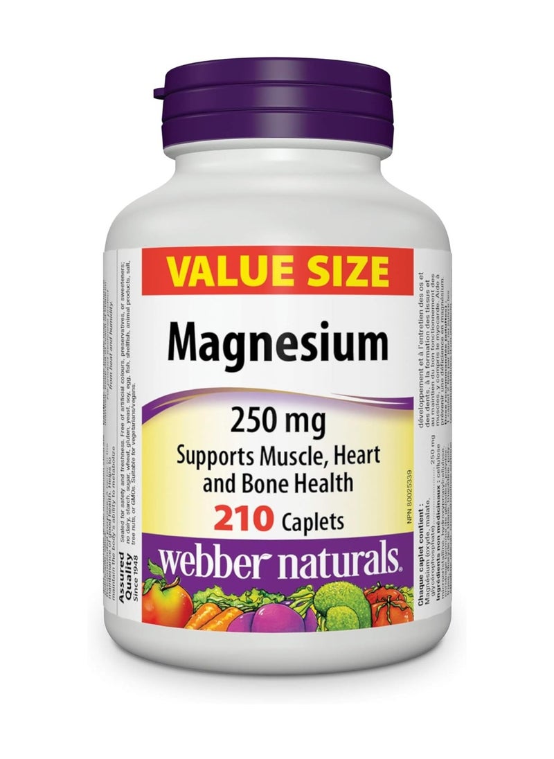 Webber Naturals Magnesium 250 mg 210 Caplets