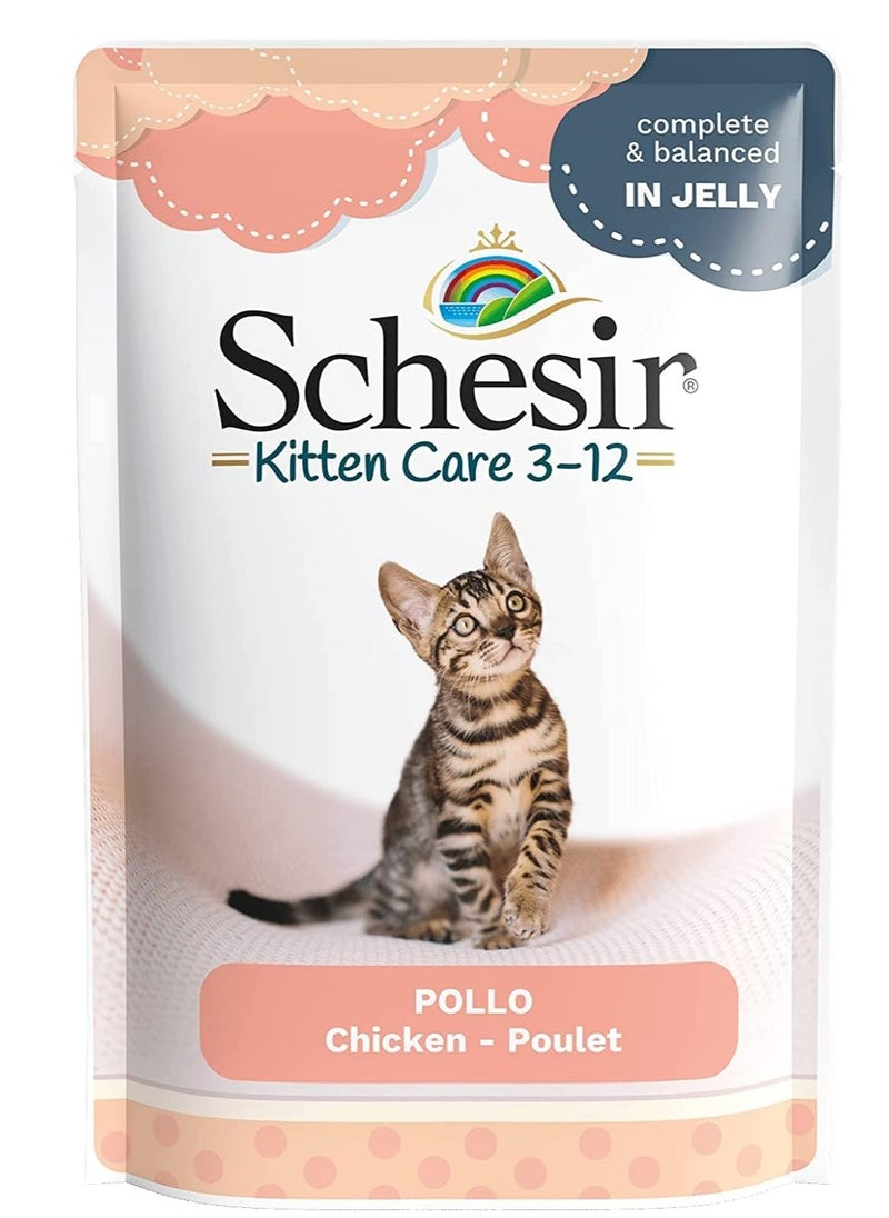 Schesir Kitten Jelly Chicken Pouch 85g 20pcs