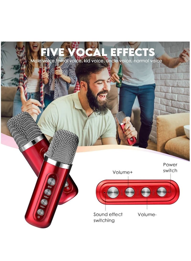 Karaoke System with 2 Microphones & Transforming Light – Bluetooth Stereo Speaker for Parties & Home Entertainment